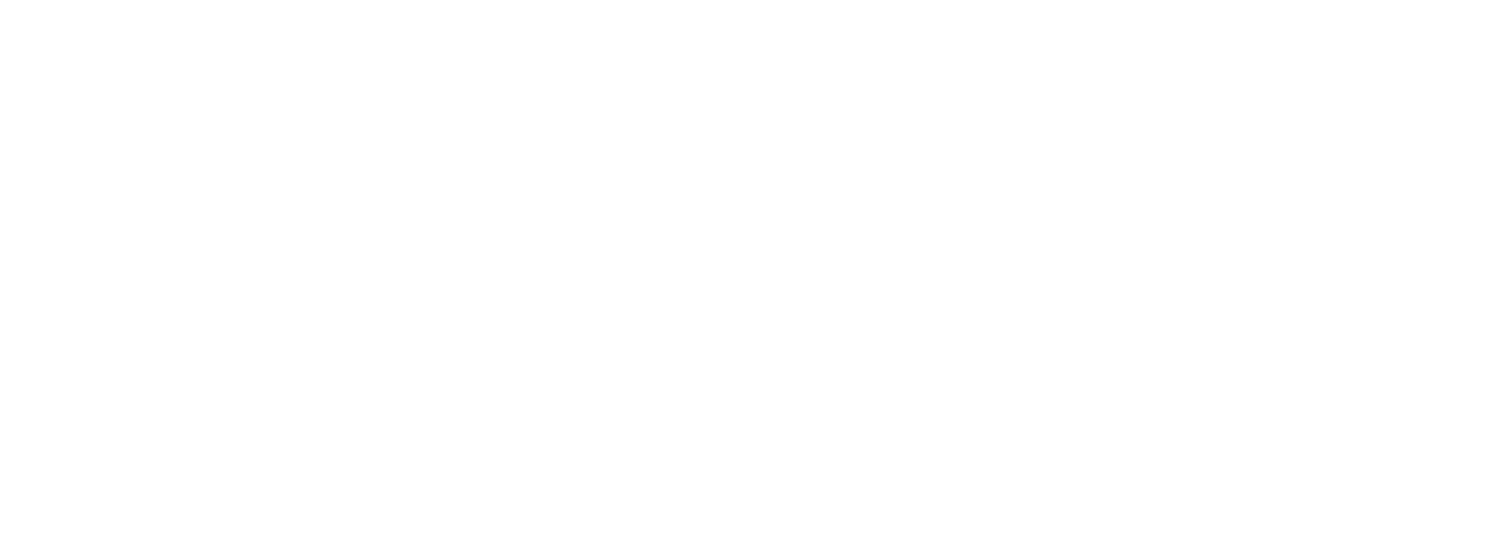 Brasil Participativo Logo